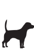 Dog animal icon