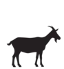 Goat animal icon